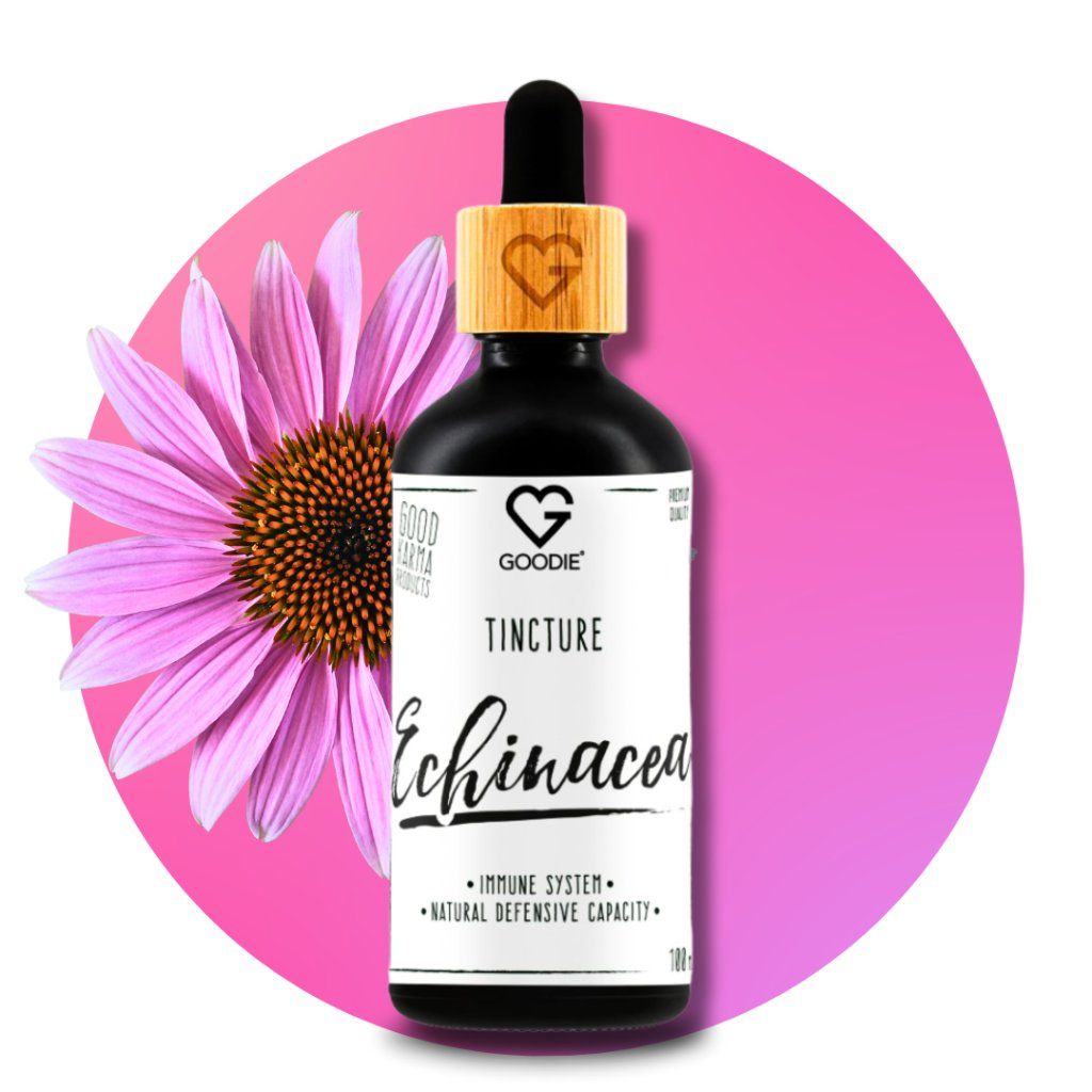 Echinacea tinktúra, 100 ml