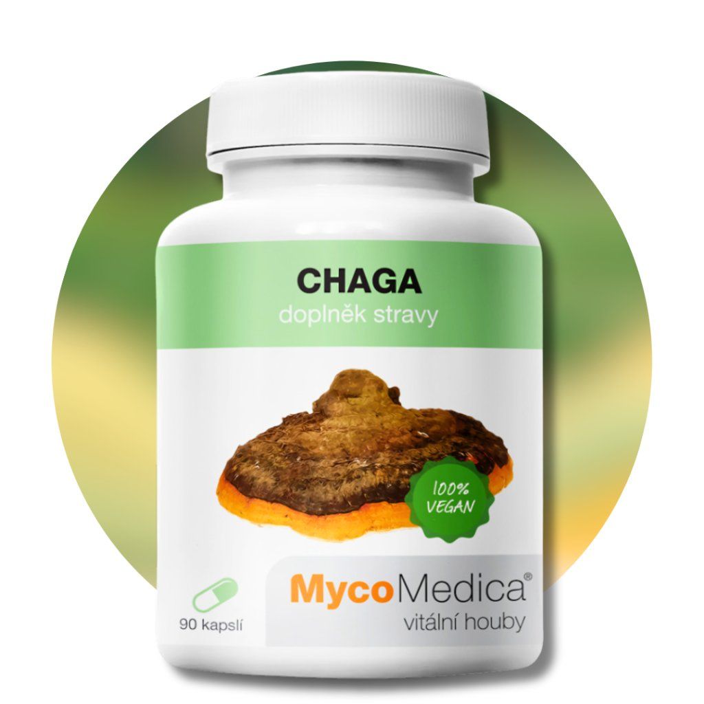 Chaga, 90 kapsúl