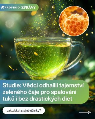 🍵 Vědci odhalili, jak zelený čaj skutečně spaluje tuky! 🔥 Nejde jen o legendu z Asie — nové studie potvrzují, že...
