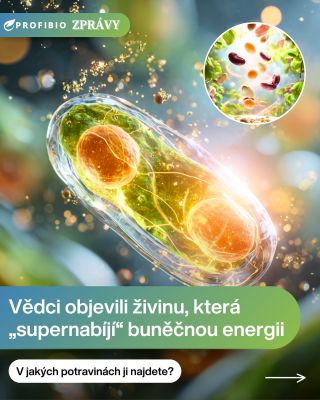 ⚡ Nový objev, který změní způsob, jak přemýšlíme o energii v těle! Vědci z University of Cologne odhalili, že...