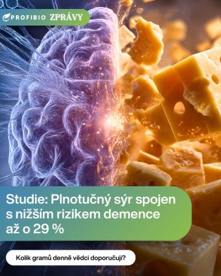 🧠🧀 Nová 25letá studie to naznačuje. A výsledky překvapily i samotné vědce. 🔬 Co ukázal výzkum (Neurology, 17. 12. 2025 |...